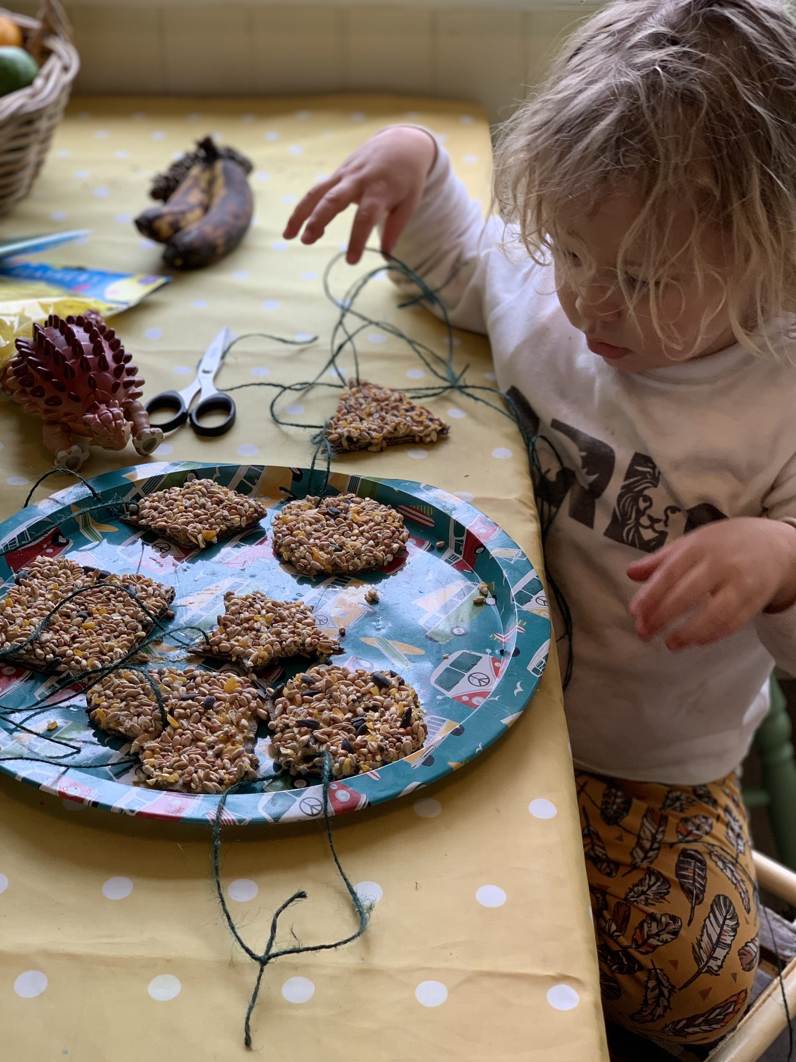 DIY Bird feeder craft