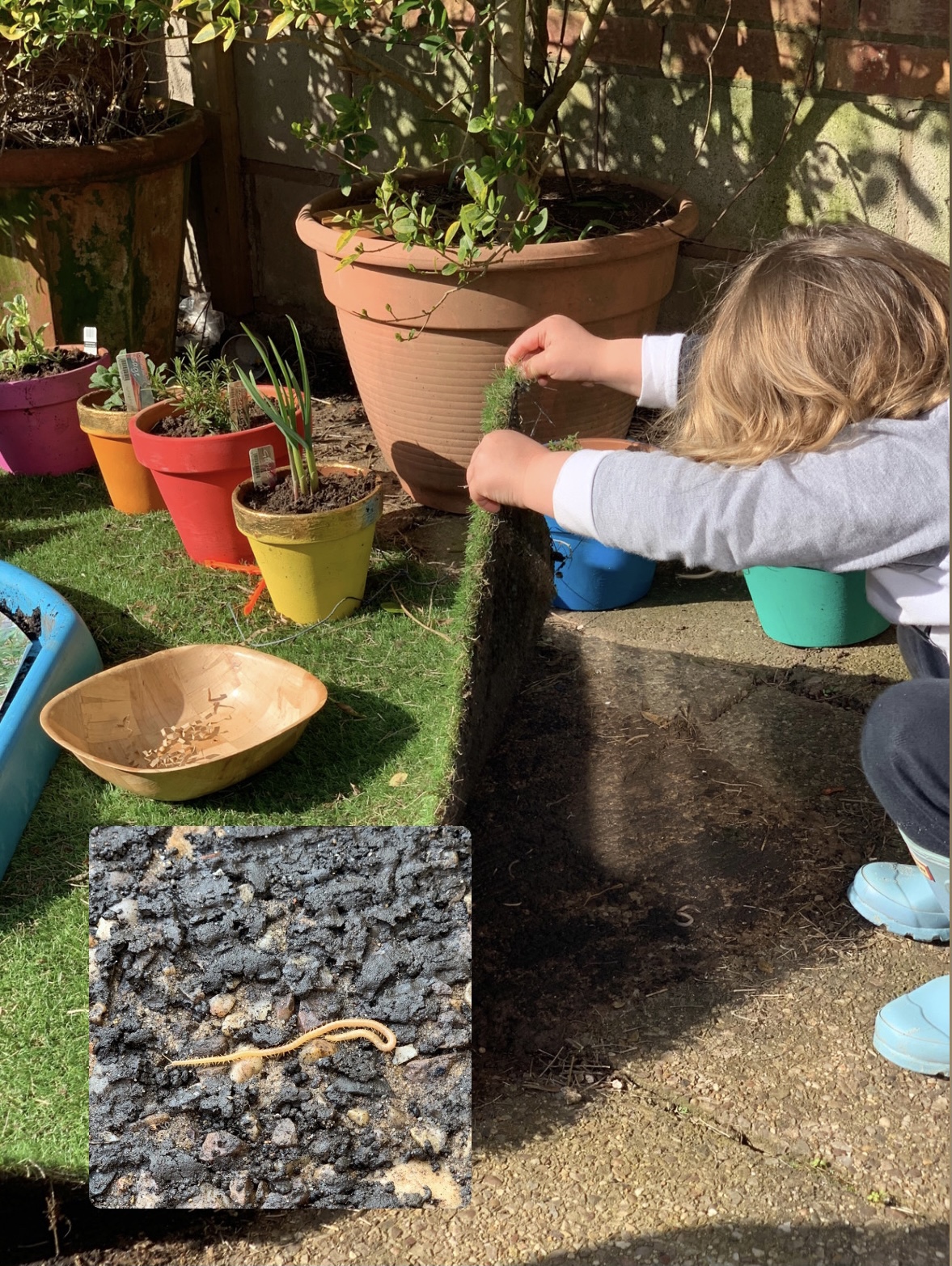 Tuff Tray Play – Planting Seeds – Lottie Makes