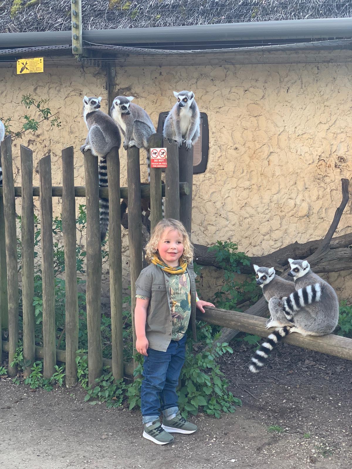 Returning to the West Midlands Safari Park