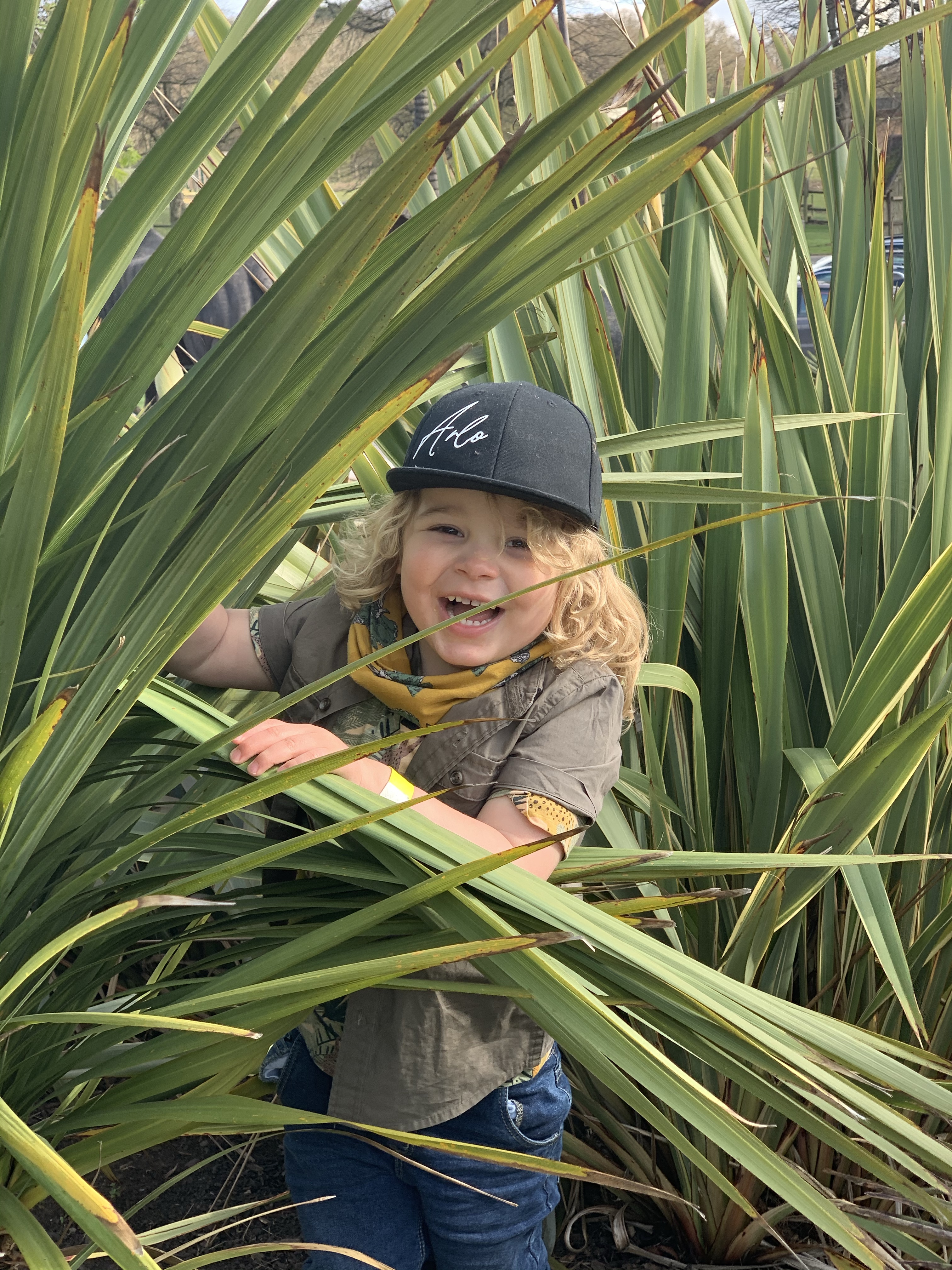 west midlands safari park virtual reality ride