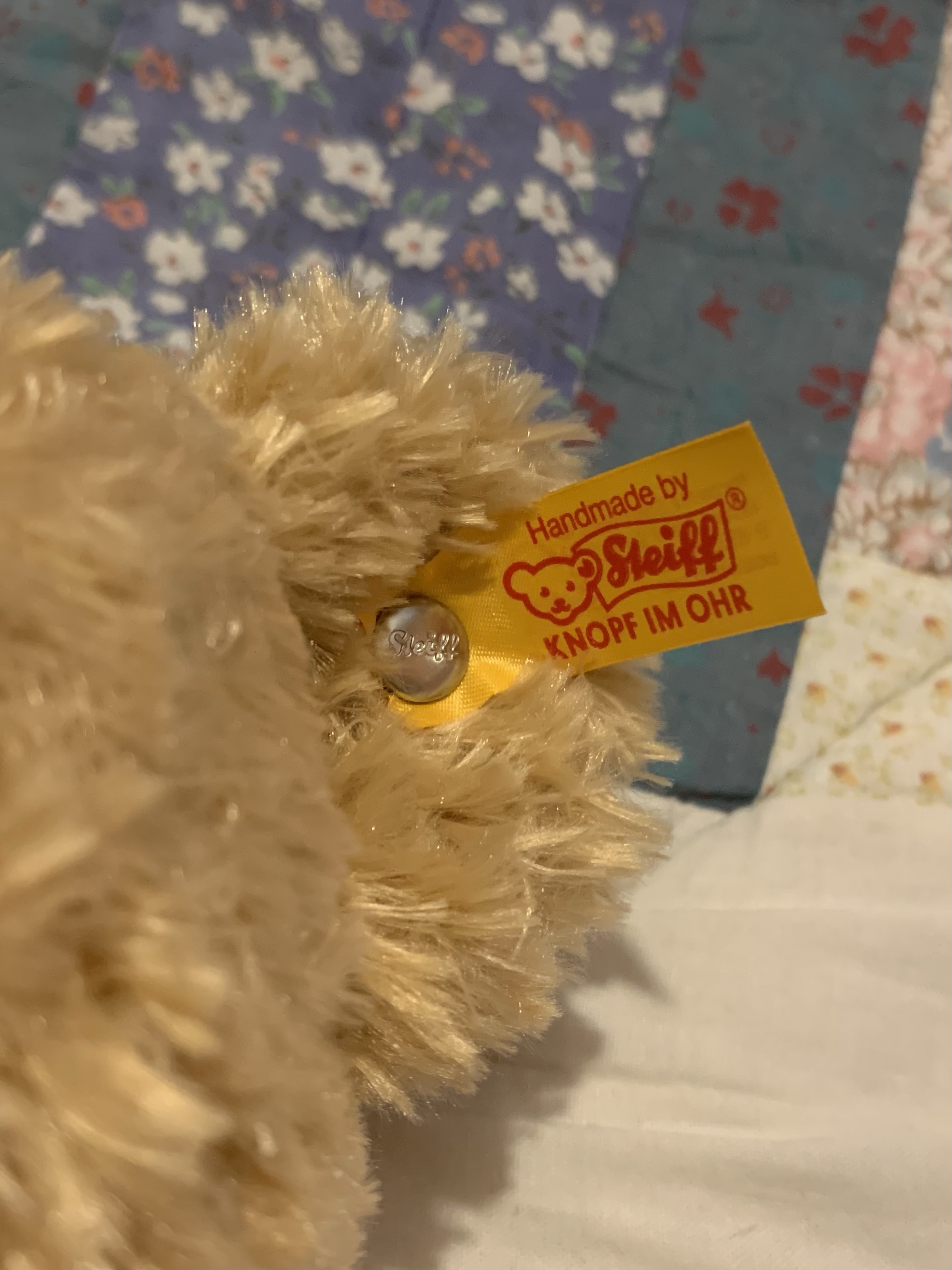 Steiff Teddy bear - Elmar review - The Amazing Adventures of Me