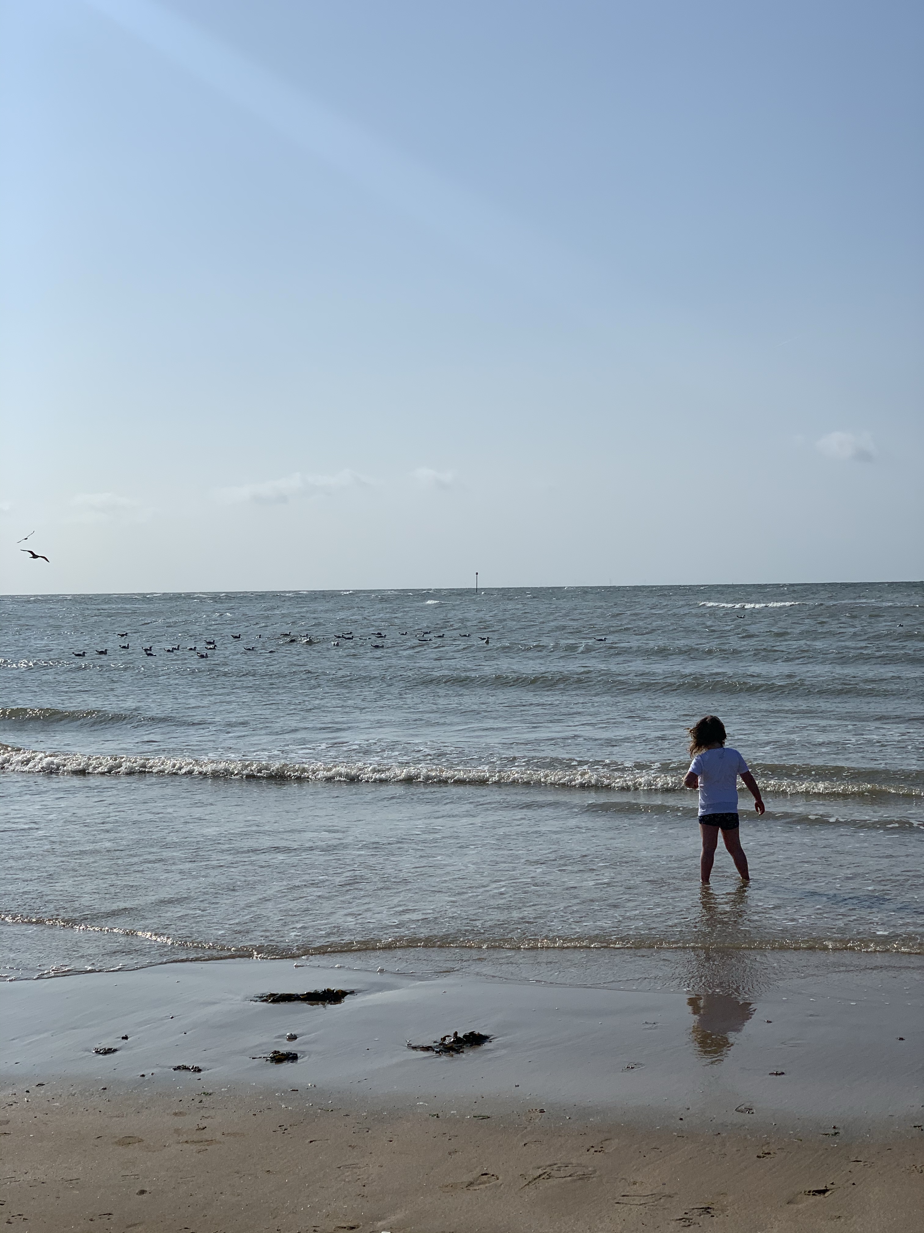 Beach Hut Staycation