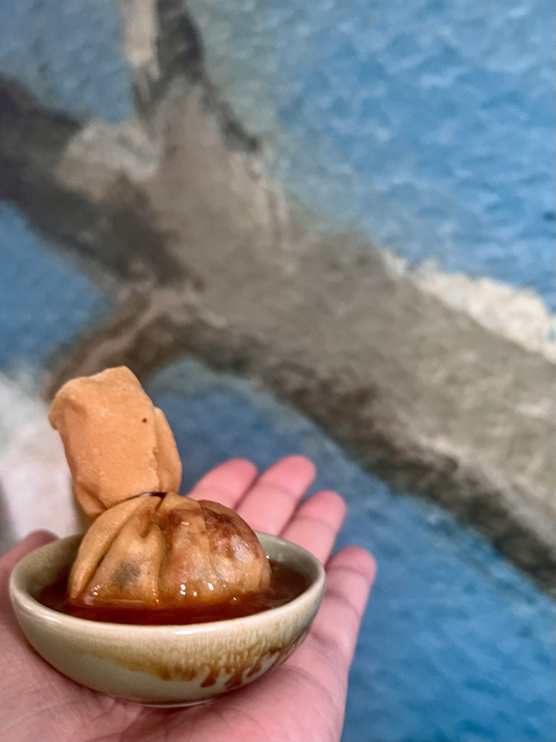 a hand holding a small bowl of food.