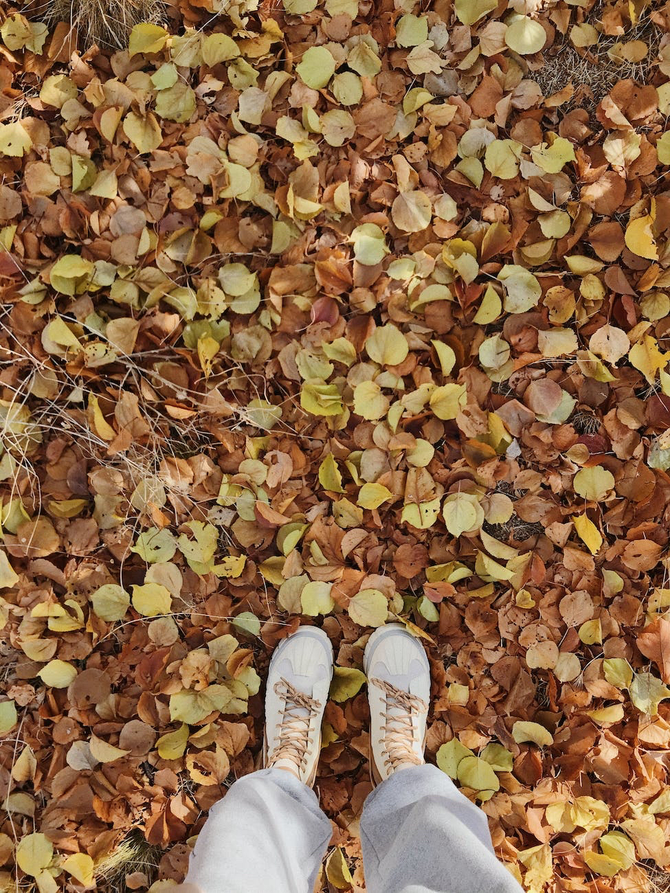 Self-care for busy parents in autumn-A person standing on a pile of leaves.