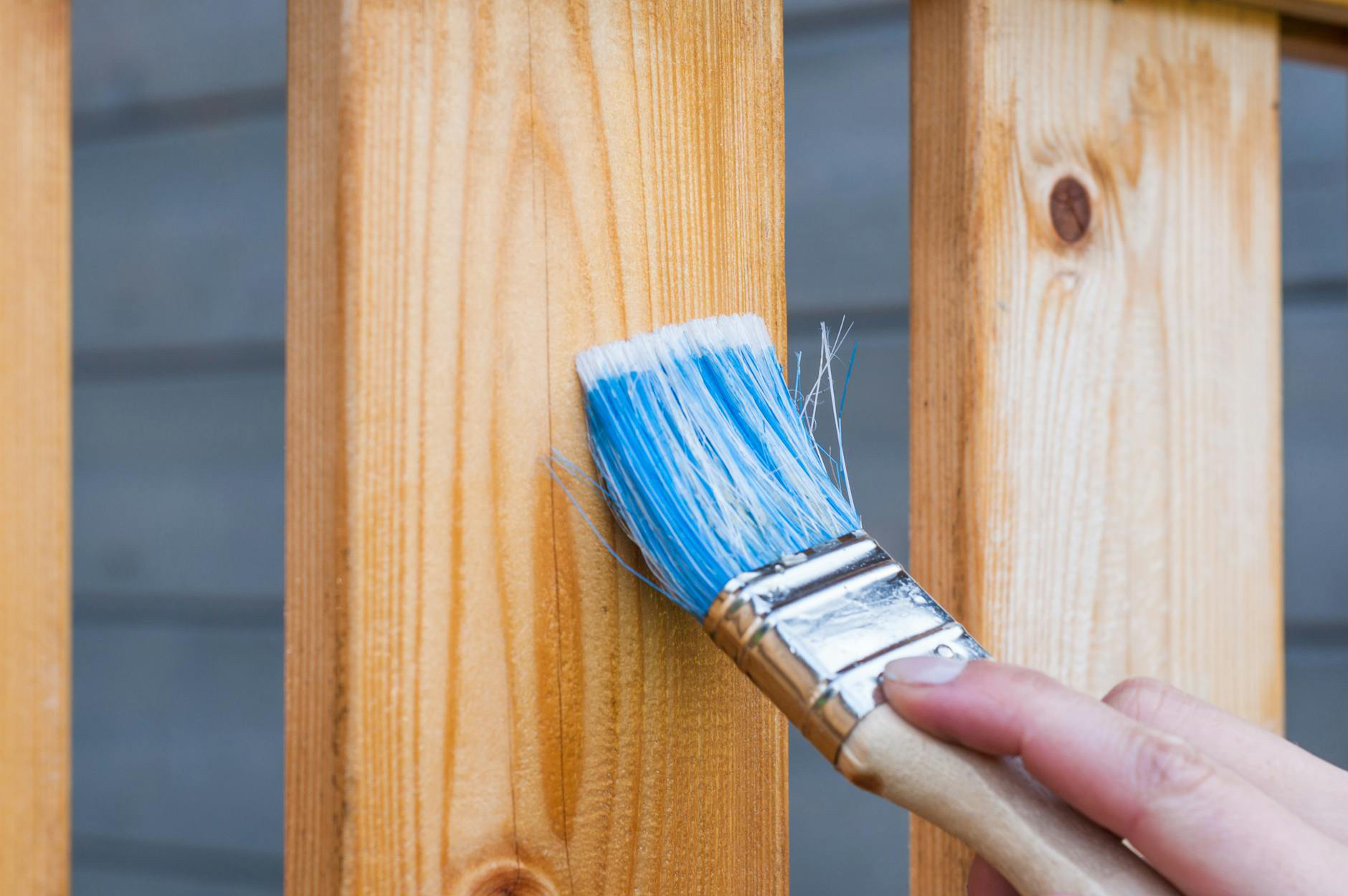A hand holding a paintbrush with blue bristles is applying a clear varnish to a wooden surface.