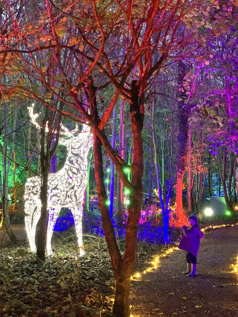 Child looks at a large, illuminated deer sculpture in a forest with colorful lights.