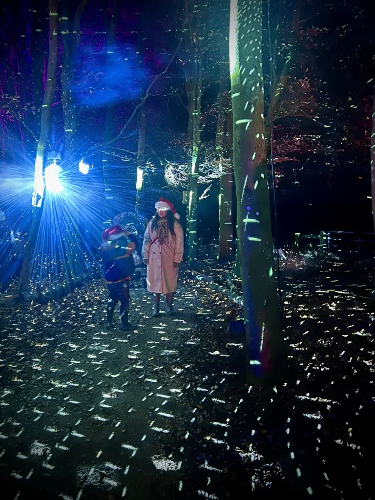 Two people in winter clothing walk through a forest illuminated by colorful lights and projections.