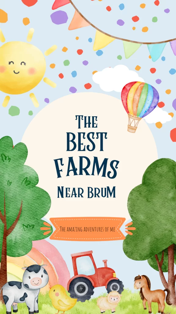 Colorful children's book cover featuring cute farm animals, a tractor, a hot air balloon, and a smiling sun. Title: "The Best Farms Near Brum" with "The Amazing Adventures of Me" tagline.