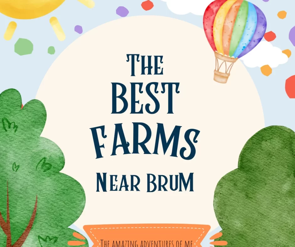 The best Childrens farms near me in the west midlands