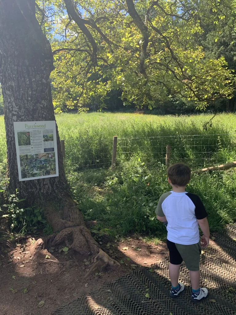 A young child stands near a tree with a sign on it, looking at a grassy field on a sunny day.
