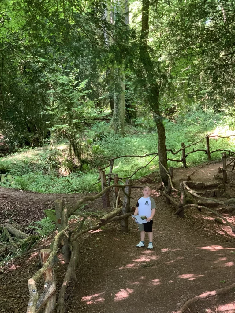 A child stands on a dirt path in a lush, green forest surrounded by rustic wooden railings. Sunlight filters through the trees.