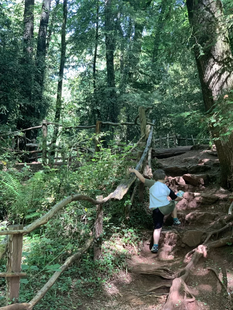 A person in shorts and a T-shirt climbs wooden stairs in a dense forest. Trees and foliage surround them, with a rustic wooden railing on the side.