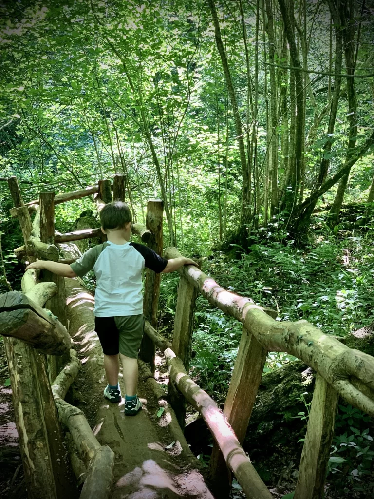 A child walks on a wooden bridge through a lush, green forest, using the railings for balance.