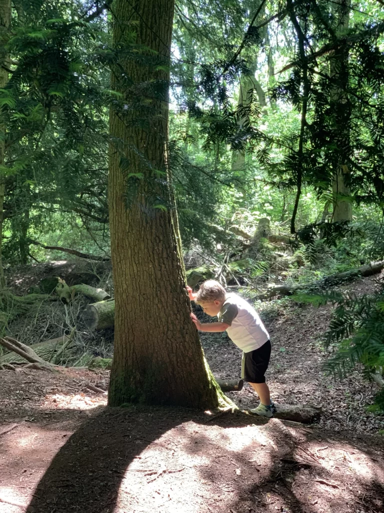 Child in a white shirt and black shorts leans against a tree trunk in a forest with dappled sunlight.