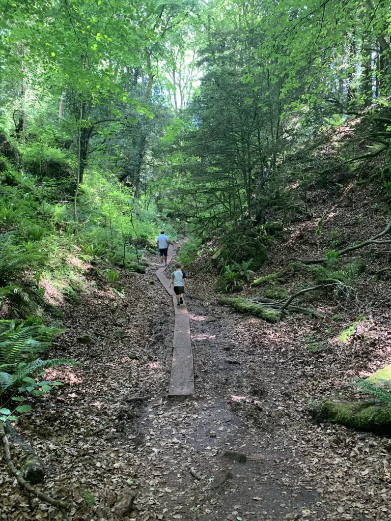Two people walk along a narrow wooden path in a lush, green forest. Fallen leaves cover the ground, and sunlight filters through the trees.