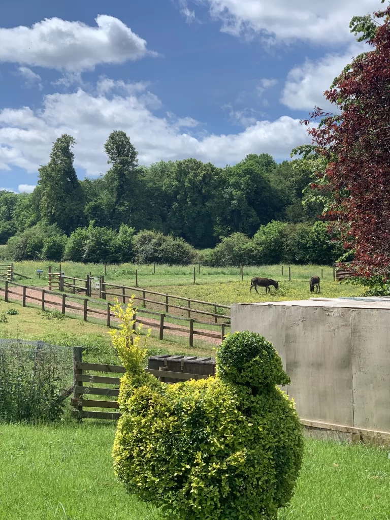 Topiary shaped like a bird in the foreground, with a wooden fence, green fields, and two horses grazing under a partly cloudy blue sky in the background.