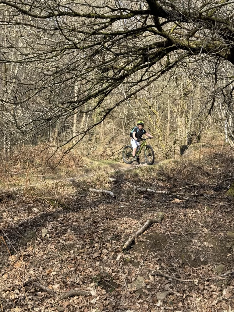 Person mountain biking on a rugged forest trail with leafless trees and dry foliage.