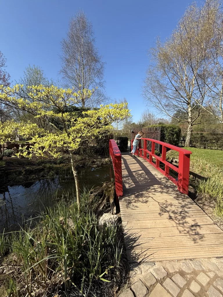 A person stands on a red bridge over a small pond in a garden setting, surrounded by spring foliage and trees under a clear blue sky.