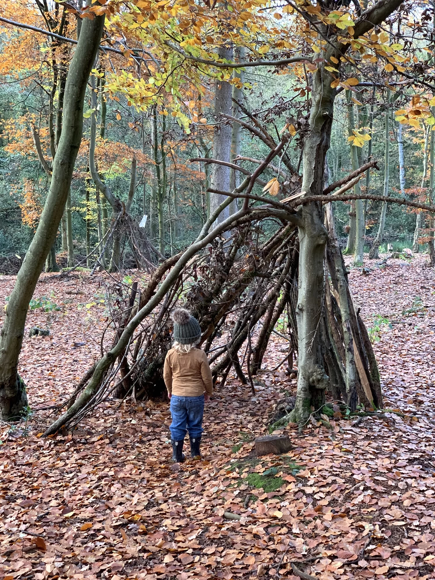 A child wearing a hat and boots stands in front of a shelter made of branches and sticks in a forest with autumn leaves on the ground.