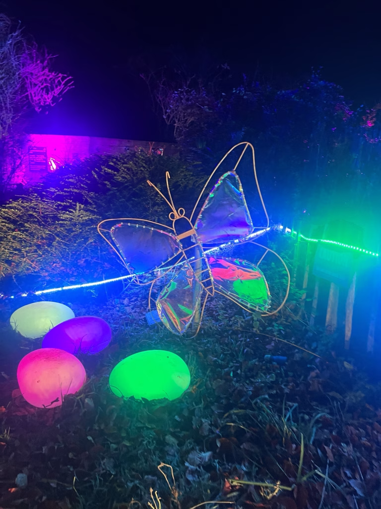 At night, a brightly lit butterfly sculpture stands in a garden among glowing orbs and colourful lights.