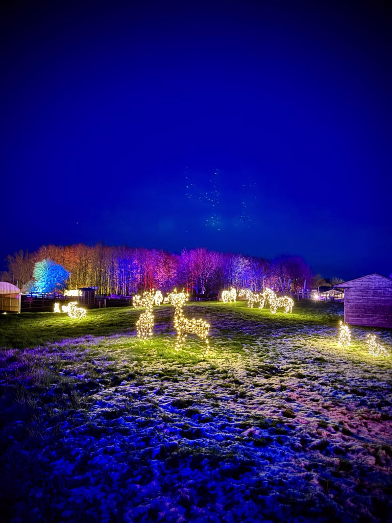 A night-time field displays glowing reindeer and animals made of lights, with lit trees and small buildings beneath a dark blue sky.