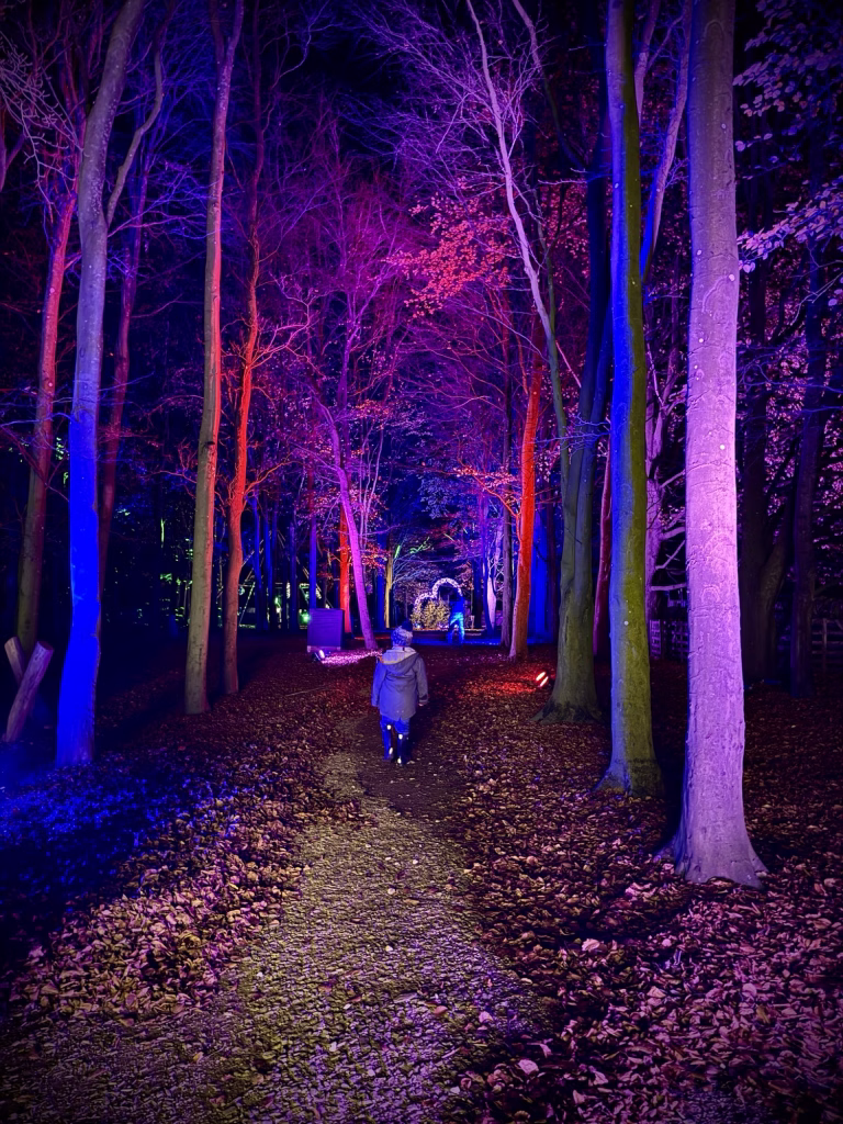 A person in a coat walks on a leaf-strewn path in a forest at night, with trees glowing in purple, pink, and blue lights.