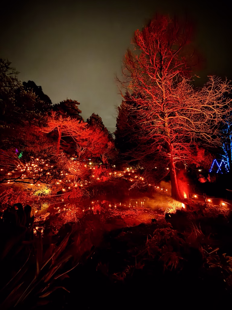 A garden at night with trees and plants lit up in red and orange lights, giving the scene a glowing, dramatic look.