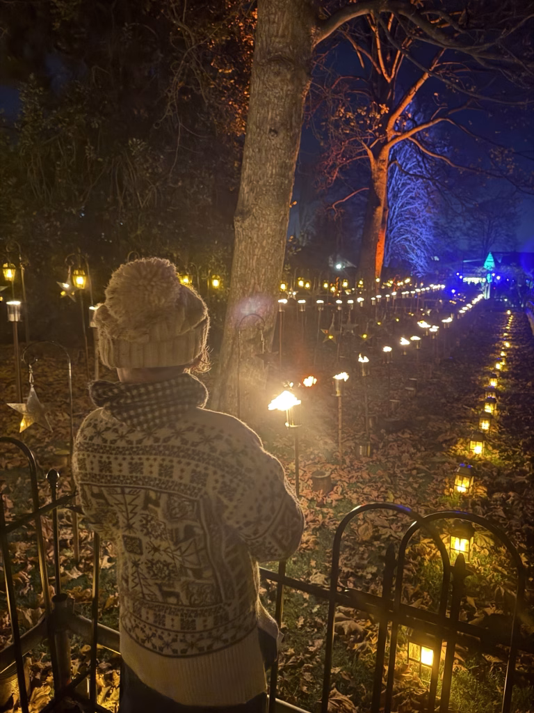 A person in a jumper and hat stands by a fence, watching lanterns and torches light up a forest path at night.
