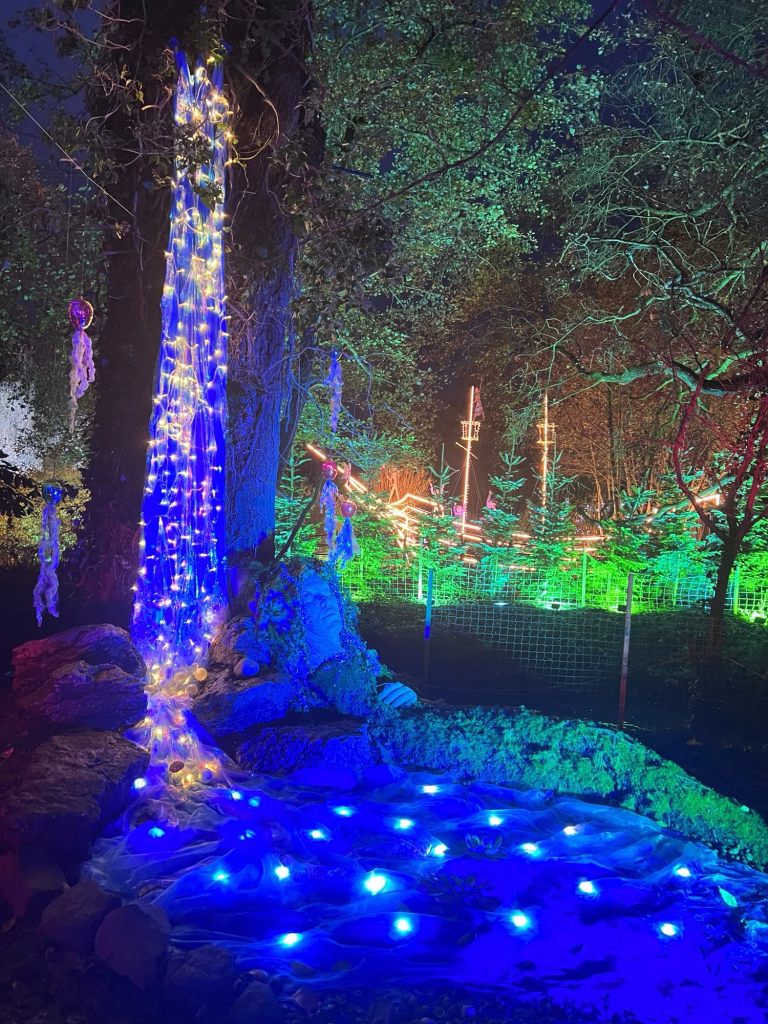 A tree draped in fairy lights glows among blue and yellow lights in a wooded area with lit trees and a mesh fence nearby.