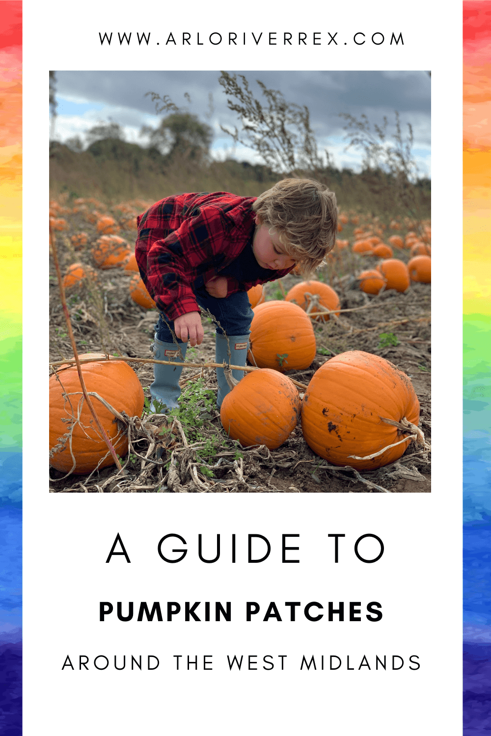 A young child is selecting pumpkins from a field.