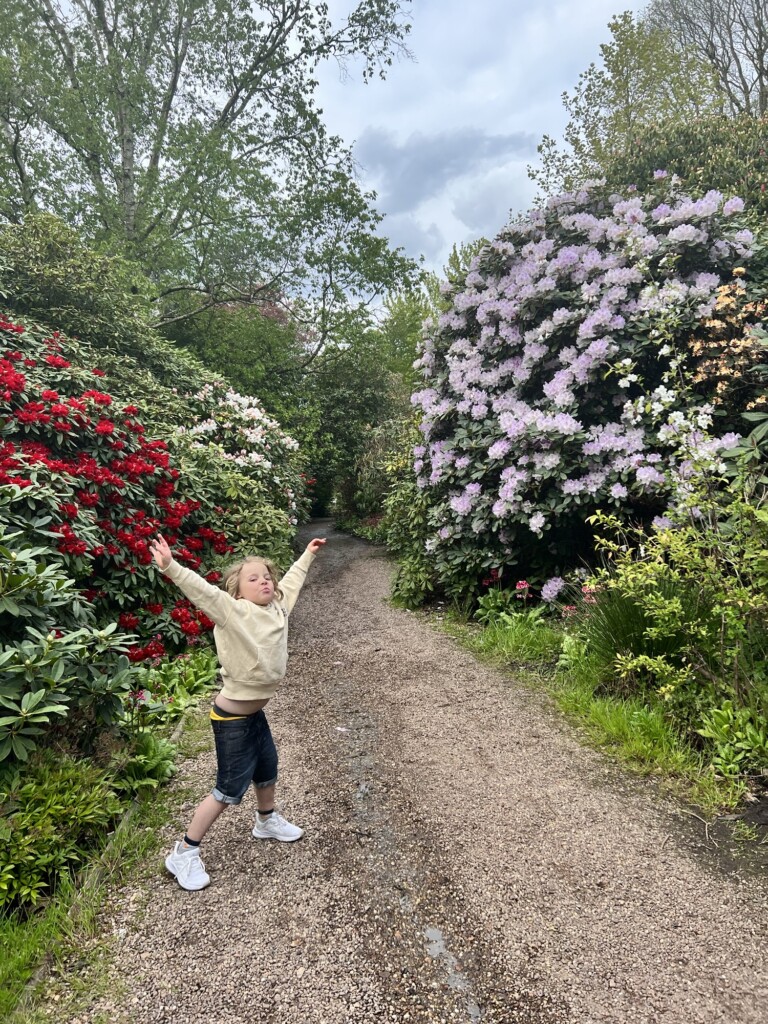 A child with arms raised stands on a gravel path, flanked by lush, blooming bushes and greenery beneath a cloudy sky.