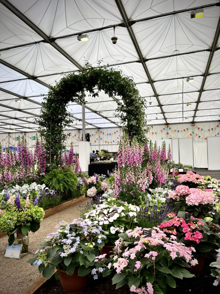 Inside a glasshouse, a floral arch stands amid vibrant flowers and bunting, with tables visible in the background.