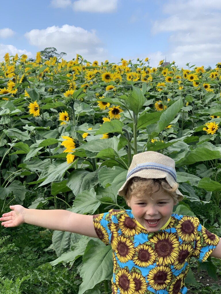 A smiling child in a sunflower-print shirt and hat stands with arms wide in front of a sunflower field under a partly cloudy sky.