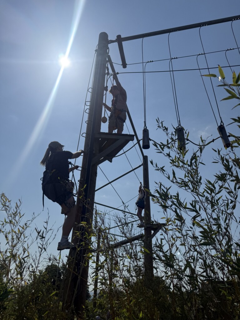 Three people in harnesses climb an outdoor ropes course, silhouetted by bright sun, with leafy branches visible in the foreground.