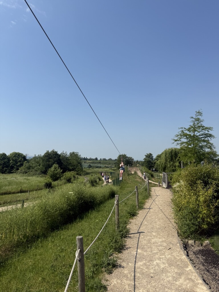 Someone ziplines above a green field on a sunny day, with trees and a dirt track in the background.